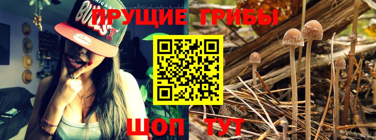 Мегион  Галлюциногенные грибы Magic Shrooms  Галлюциногенные грибы мицелий  Вход с VPN 